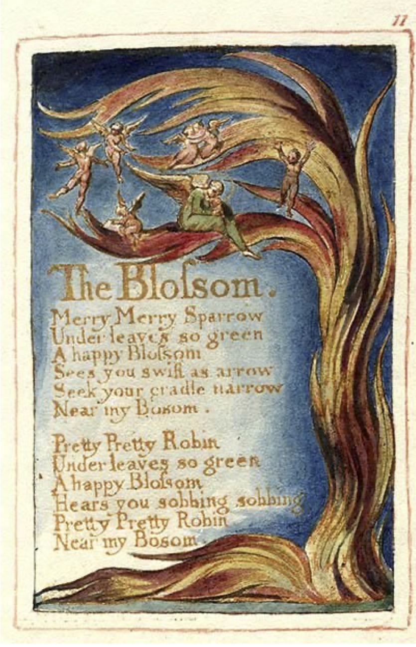 The Blossom